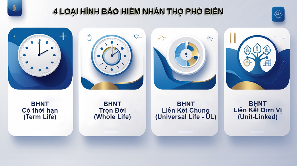 Các loại hình bảo hiểm nhân thọ phổ biến nhất