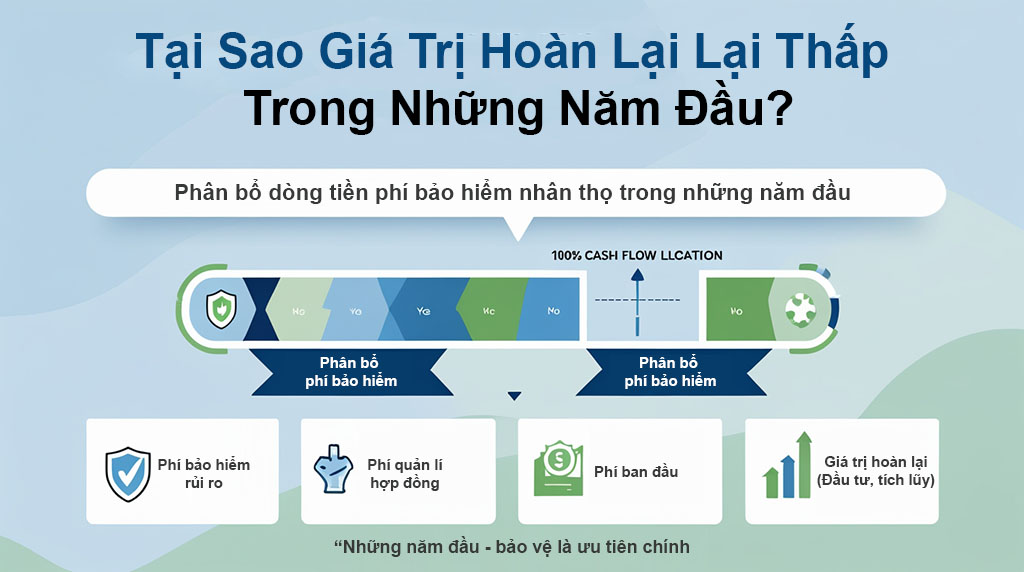 Giá trị hoàn lại thấp trong những năm đầu do việc phân bổ chi phí ban đầu lớn